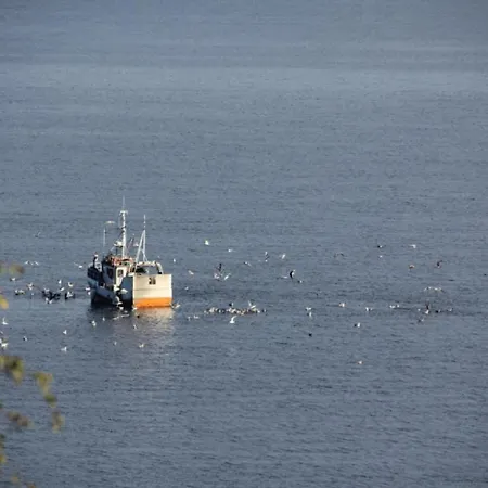 Vakantiehuis Fjordhytte-1 Ist Eine Schoene Huette Bei Am Hardangerfjord Mit Grandiosem Fjordpanorama, 20 Ps Motorboot Mietbar