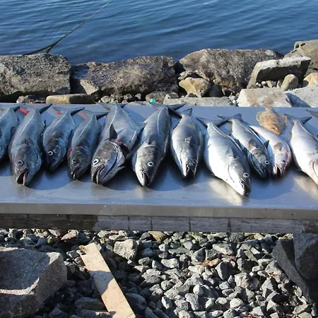 Fjordhytte-1 Ist Eine Schoene Huette Bei Am Hardangerfjord Mit Grandiosem Fjordpanorama, 20 Ps Motorboot Mietbar Aenes